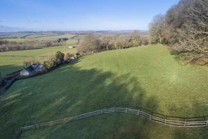 Paddock- click for photo gallery